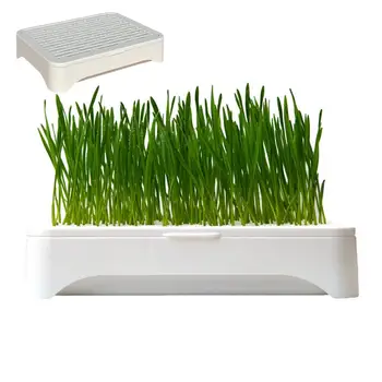 Гидропонная сеялка за котешка трева, беспочвенный тава за отглеждане на разсад на закрито, Тави за разсаждане на система за хидропонно отглеждане На
