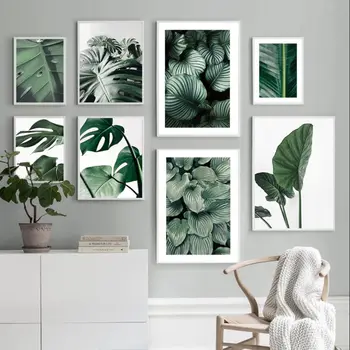 Зелена Монстера, големи листа от Тропически растения, Монтиране на изкуството, платно, маслени картини, плакати на скандинавскую тема и щампи, стенни картини за вашия интериор дневна