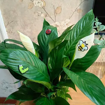 Магнитни украшение от листата на растението, с весели очи, Набор от бижута на магнити за стайни растения, Сладки декоративни етикети с весели очи, Пчела, калинка